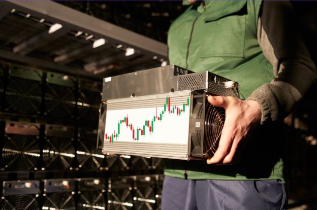 WhatsApp Image 2025 04 16 at 23.53.21